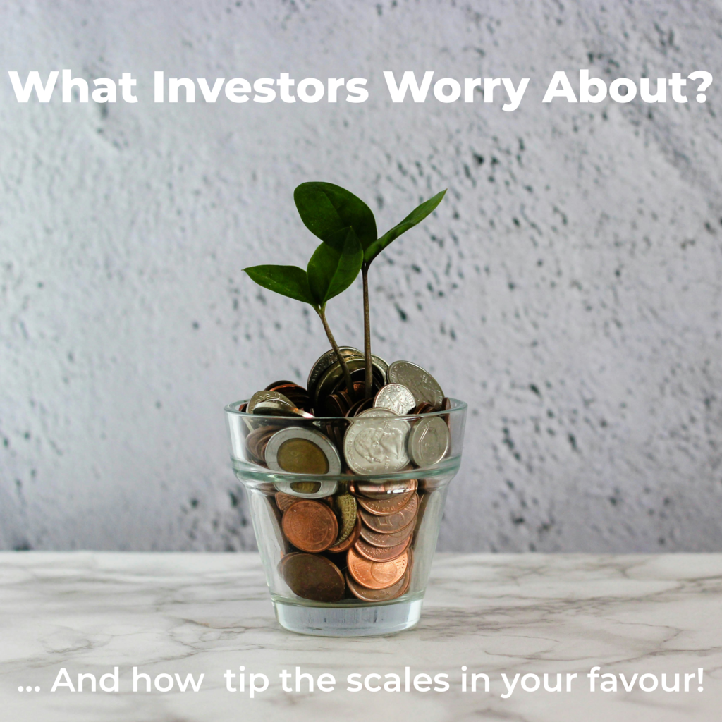 What investors worry about?