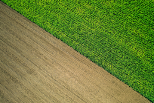 Brown and Green fields